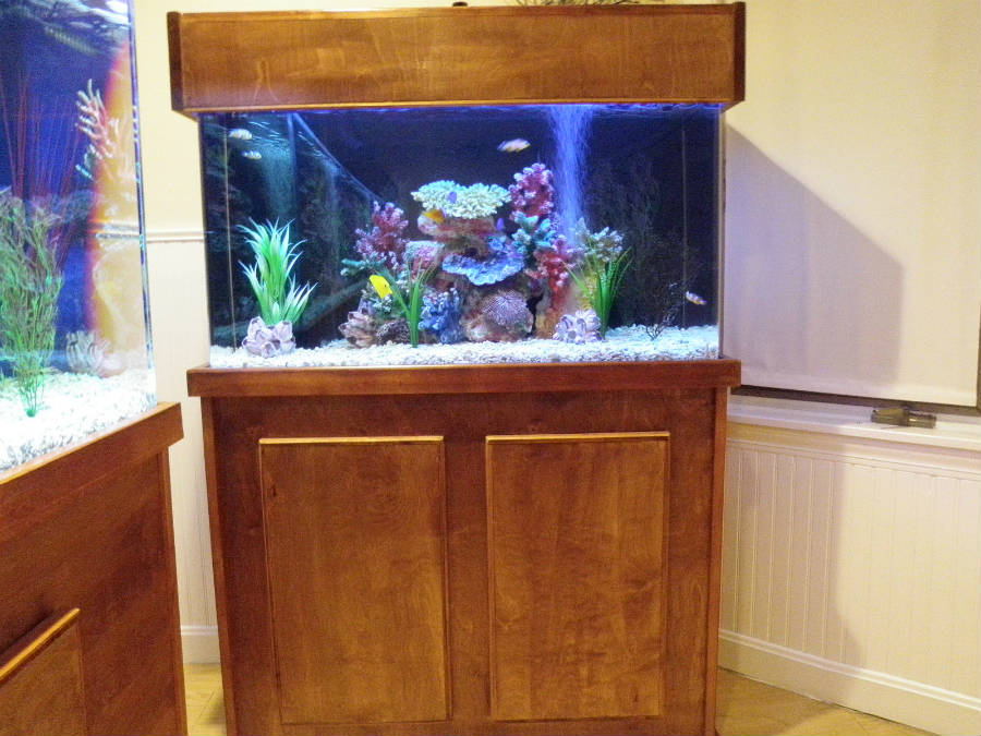 50-gallon